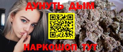 гидра Будённовск